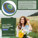 Nad Nicotinamida Riboside Resveratrol900